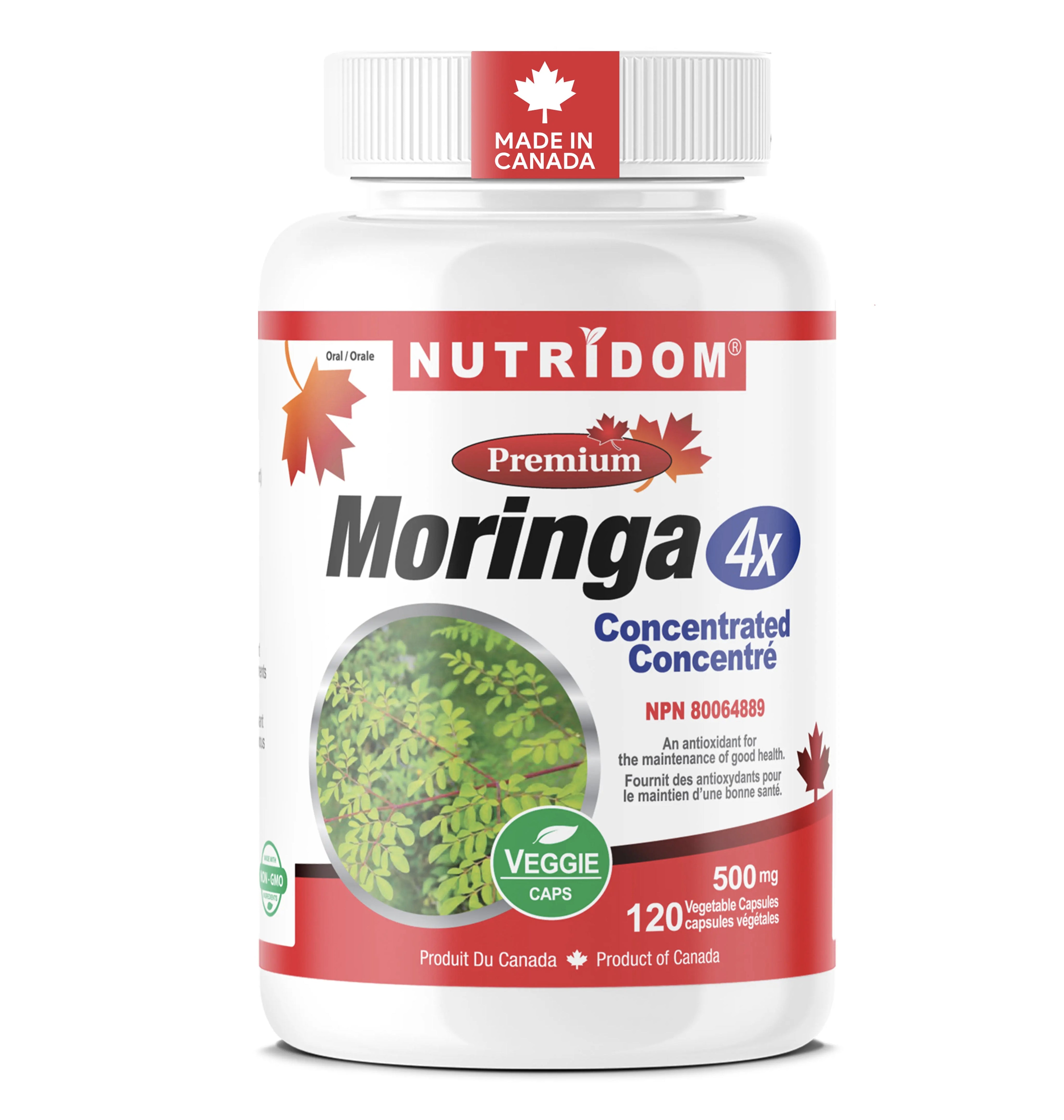 Moringa Extra concentrée extra-fort (4000mg, 4:1 = 500mg) - Nutridom - 120 capsules